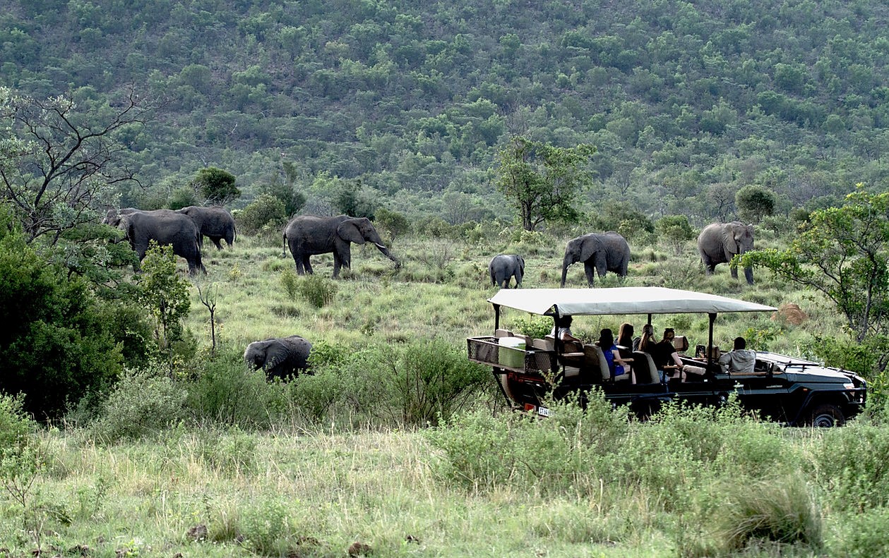 Game Drive 2